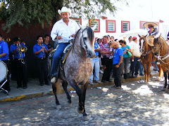 Dancing Horses