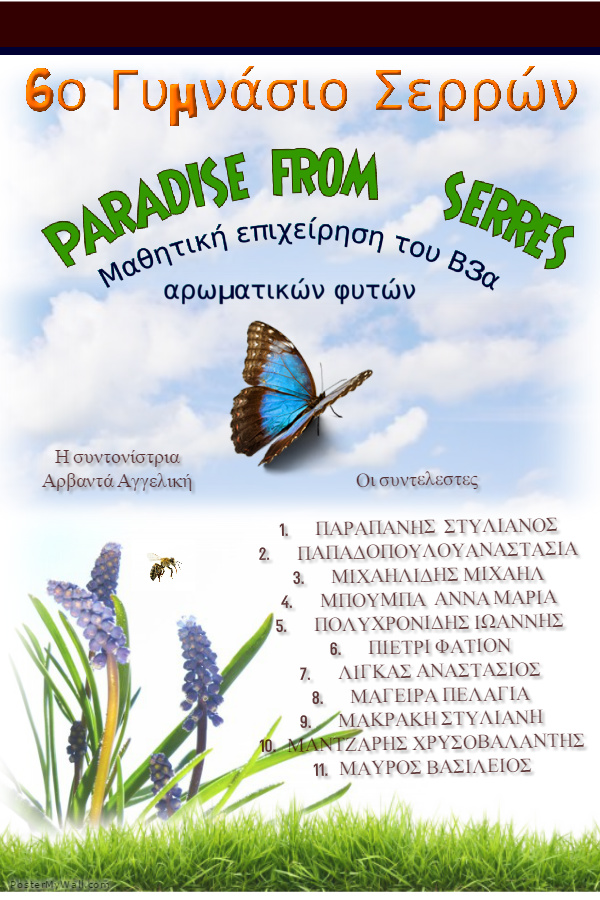 Διαγωνισμός 2014-2015 - "PARADISE FROM SERRES"