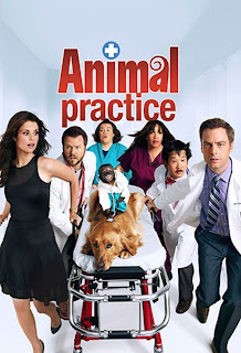 Animal Practice Serie TV Streaming Download Animal Practice Serie TV Streaming Download