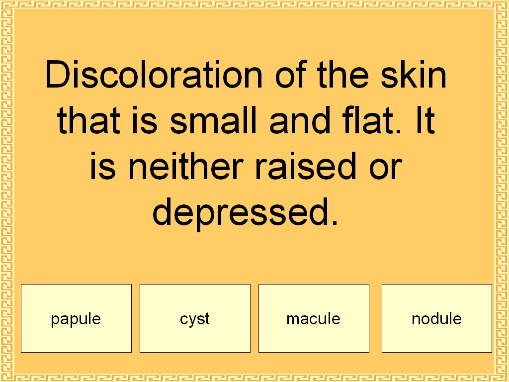 Student Survive 2 Thrive Free Medical Terminology Practice Test Skin
