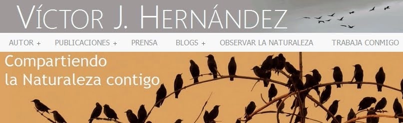 Visita mi web