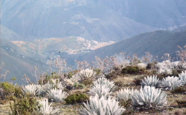 La Mesa desde "La Cerquita"