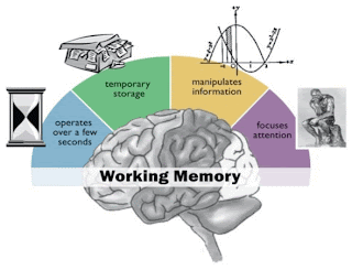 working memory 2
