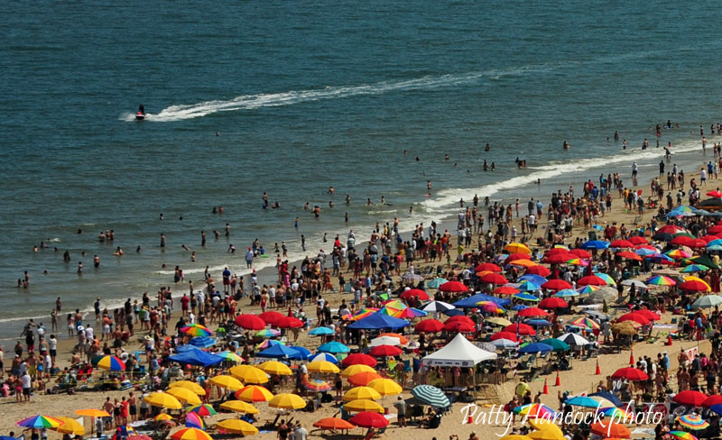 Beaches Of Maryland