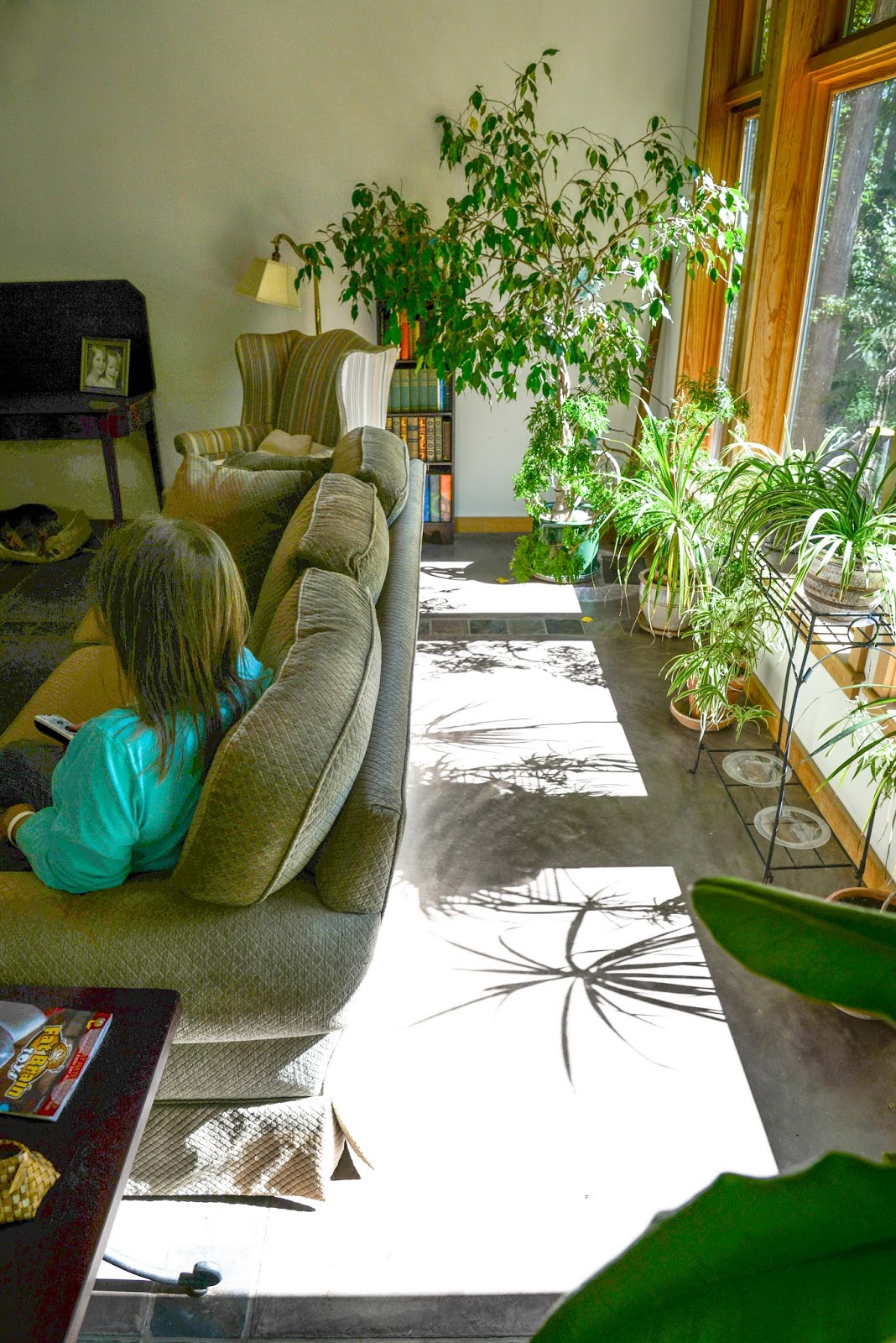 Mike's Gone Fishin'... Again The Incredible Shrinking Room