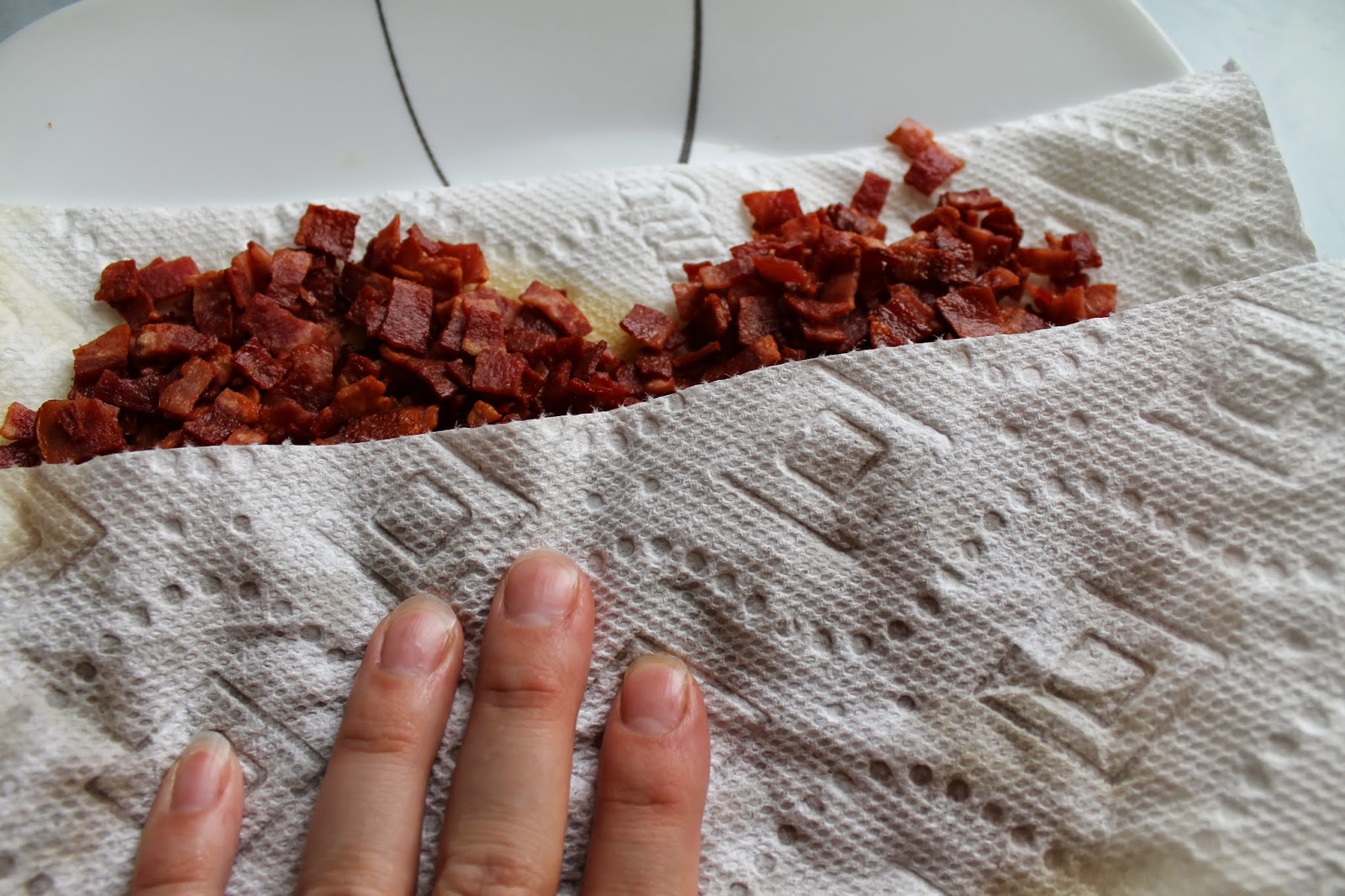 Cook and Craft Me Crazy Make Your Own Turkey Bacon Bits