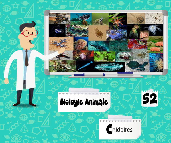biologie marine cours pdf