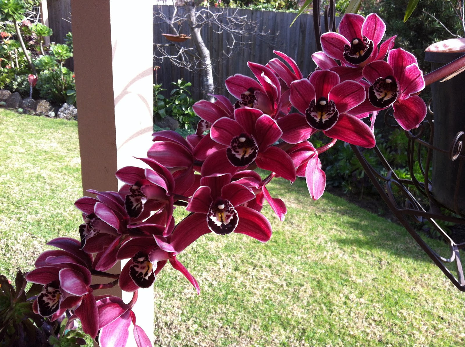 CheeKeeLee Winter Garden in Melbourne