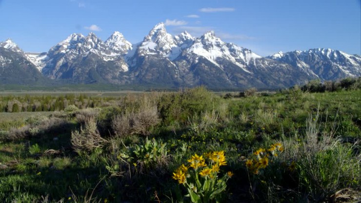 Unspoiled Nature and Snowy Peaks in The Teton Range, USA Unspoiled Nature and Snowy Peaks in The Teton Range, USA