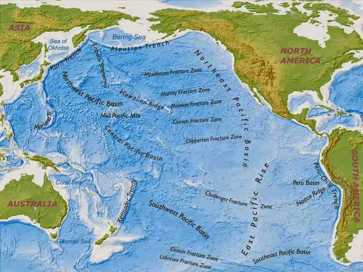 Pacific Ocean Political Atlas Wall Map | Maps.com.com