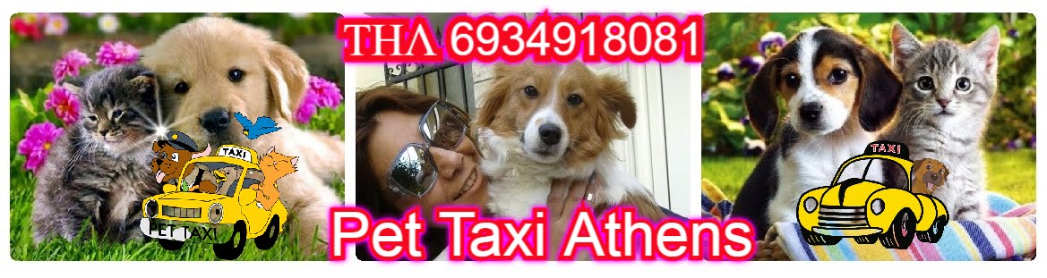 Pet Taxi Athens
