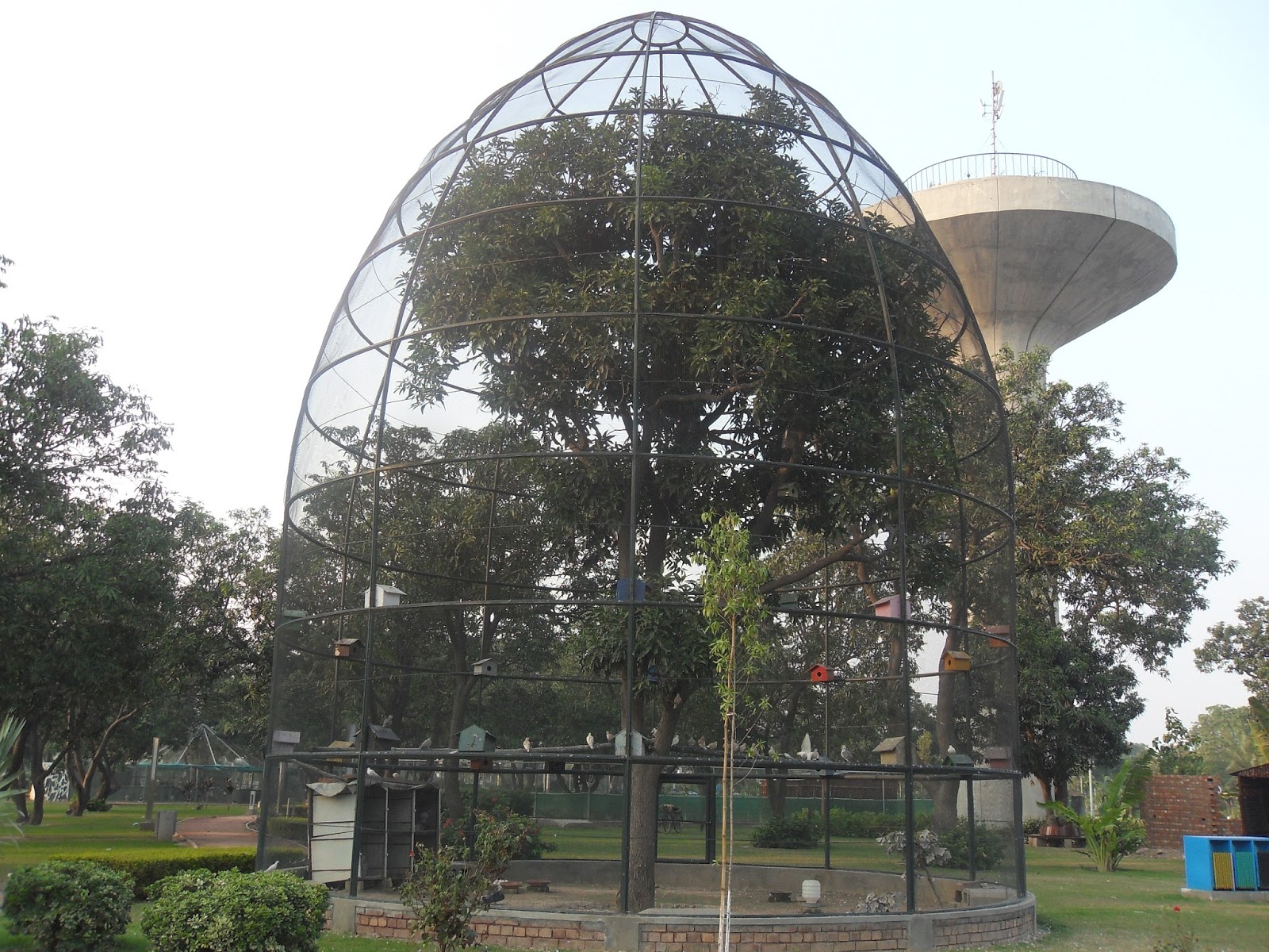 Quotations Stock Sukh Chain Gardens Lahore Pakistan