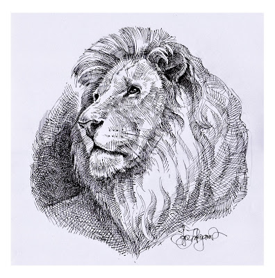 lion art drawing