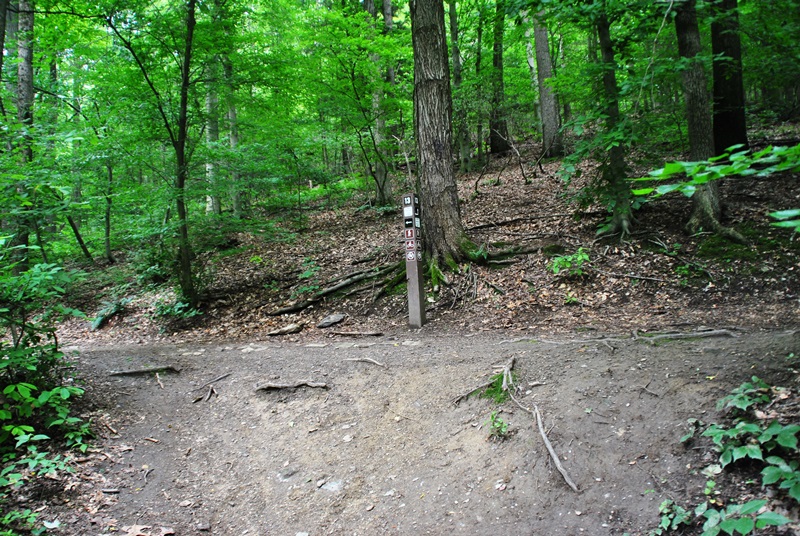 Southeastern PA Hiking Harmony Hill Nature Area