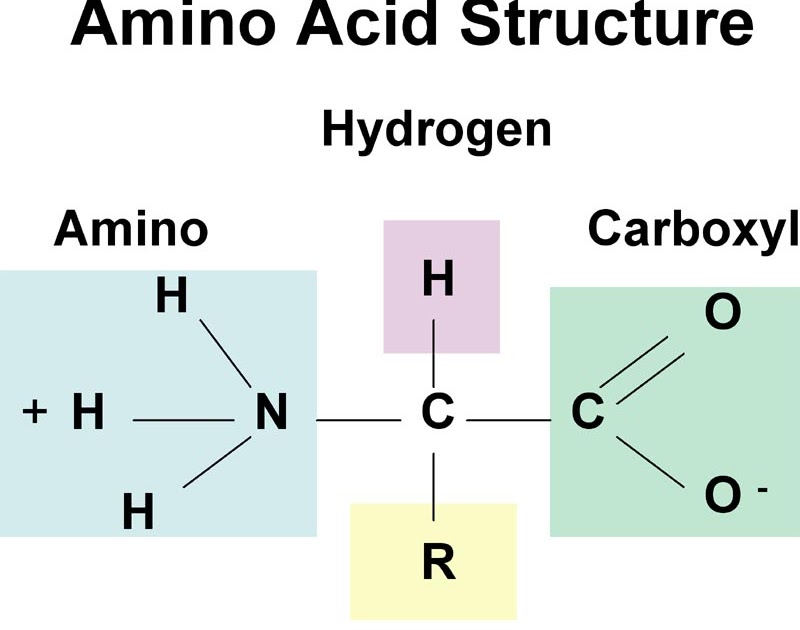 Thechem Sky Identifikasi Asam Amino Thechem Sky Identifikasi Asam Amino