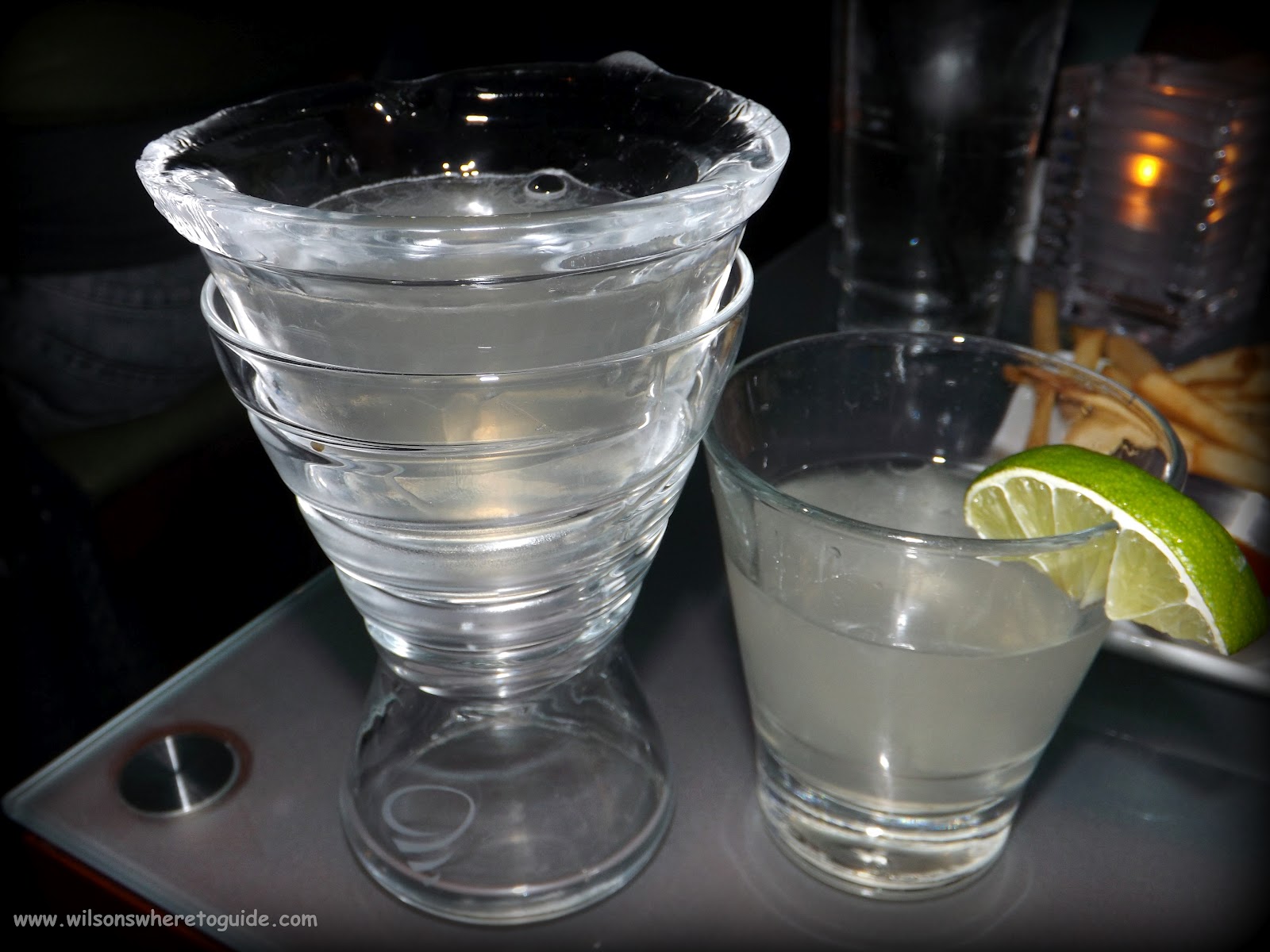 WilsonsGuide Where to Drink Subzero Martinis Zinc Lounge, Shade Hotel