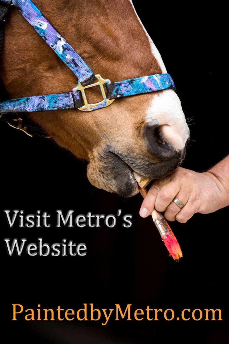 Visit Metro's Website
