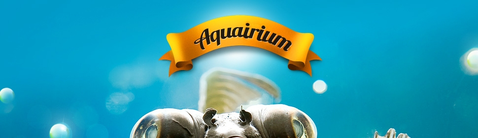 Aquairium