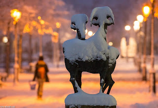  صور رائعة للثلوج تزور ألمانيا باكراً  1+%284%29