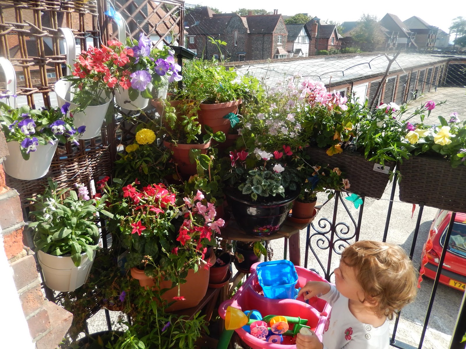 Balcony Gardening