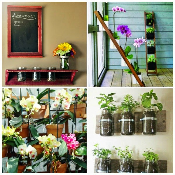 Decorar con orquídeas - Guia de jardin