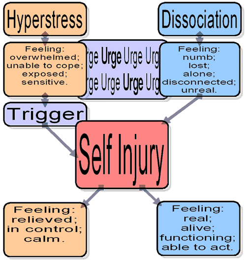 self-injury self-injury