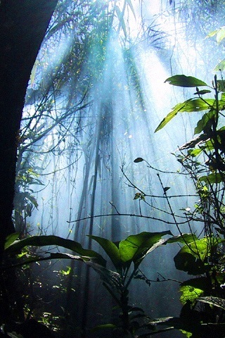 iphone wallpaper background