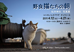 【ありがとうございました】<br>第１回個展<br>野良猫たちの朝