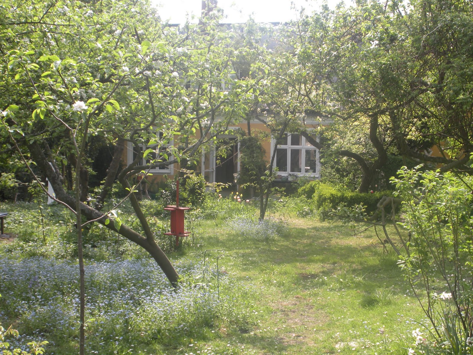 Garden by jennie: lotte möllers trädgård