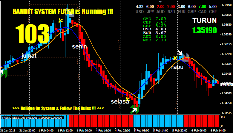 risk free forex trading system