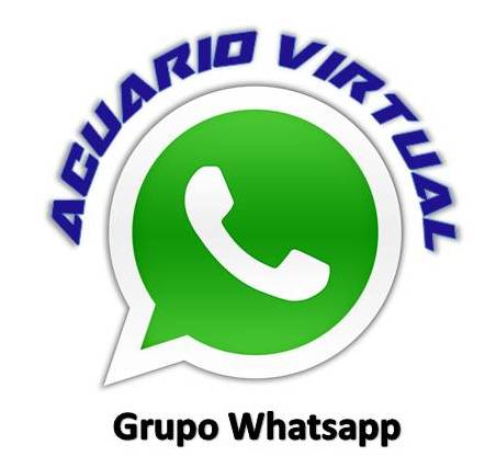 Unte al Grupo en Whatsapp