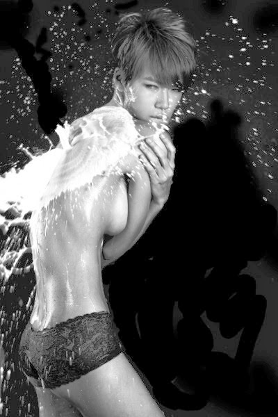 [Image: 501100d9_26c0b635__mg_0160resize.jpg]