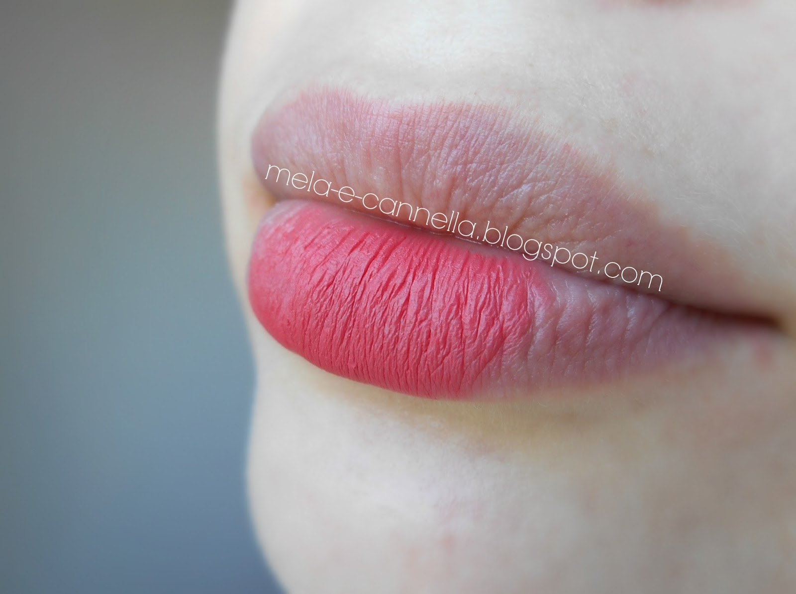 melaecannella Farmasi lip pencil 220