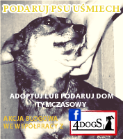 http://ratowanieswiata.blogspot.com/2013/07/o536-4dogs-podaruj-psu-usmiech.html#comment-form