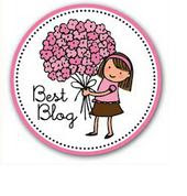 Premio Best Blog