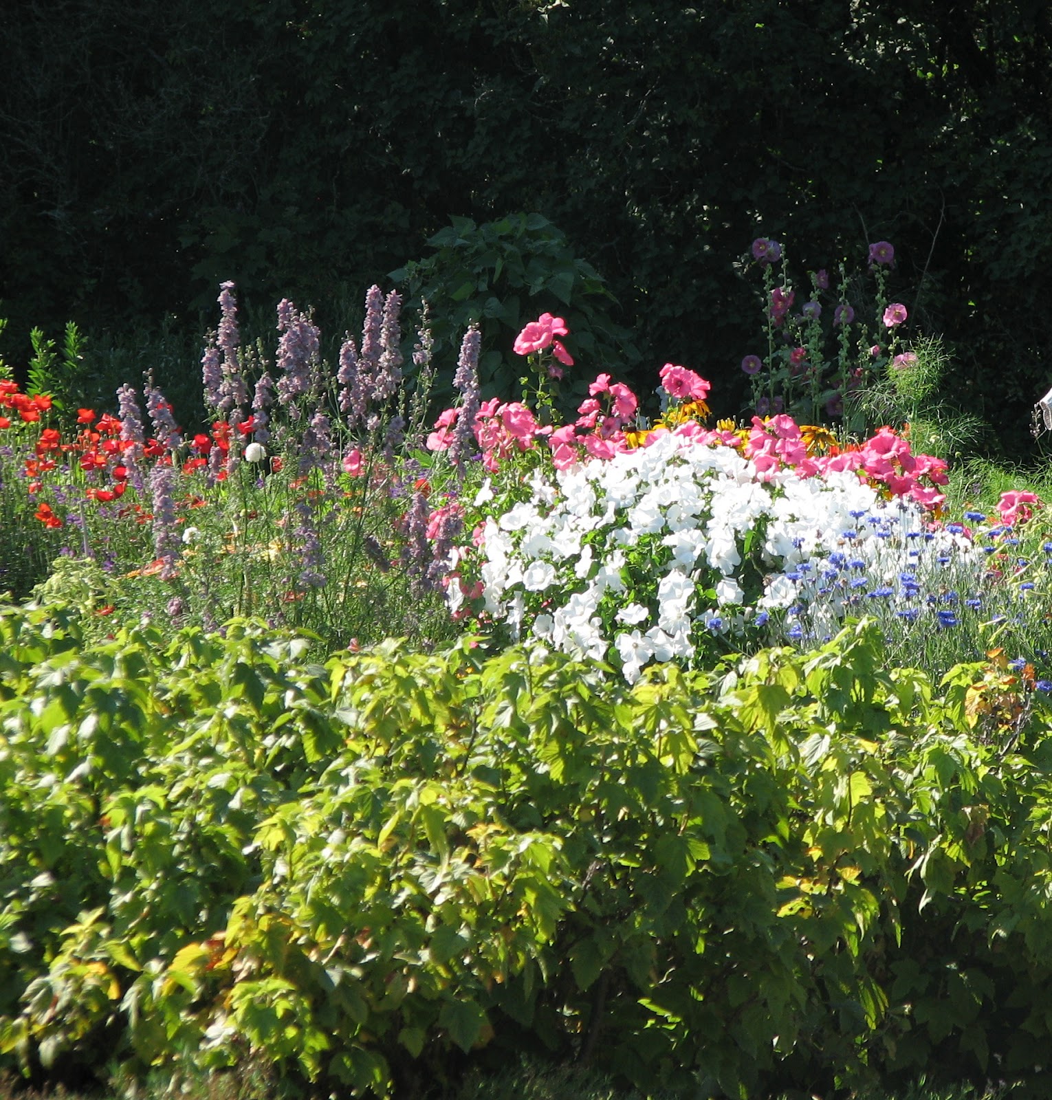La nature à son meilleur Les jardins de QuatreVents