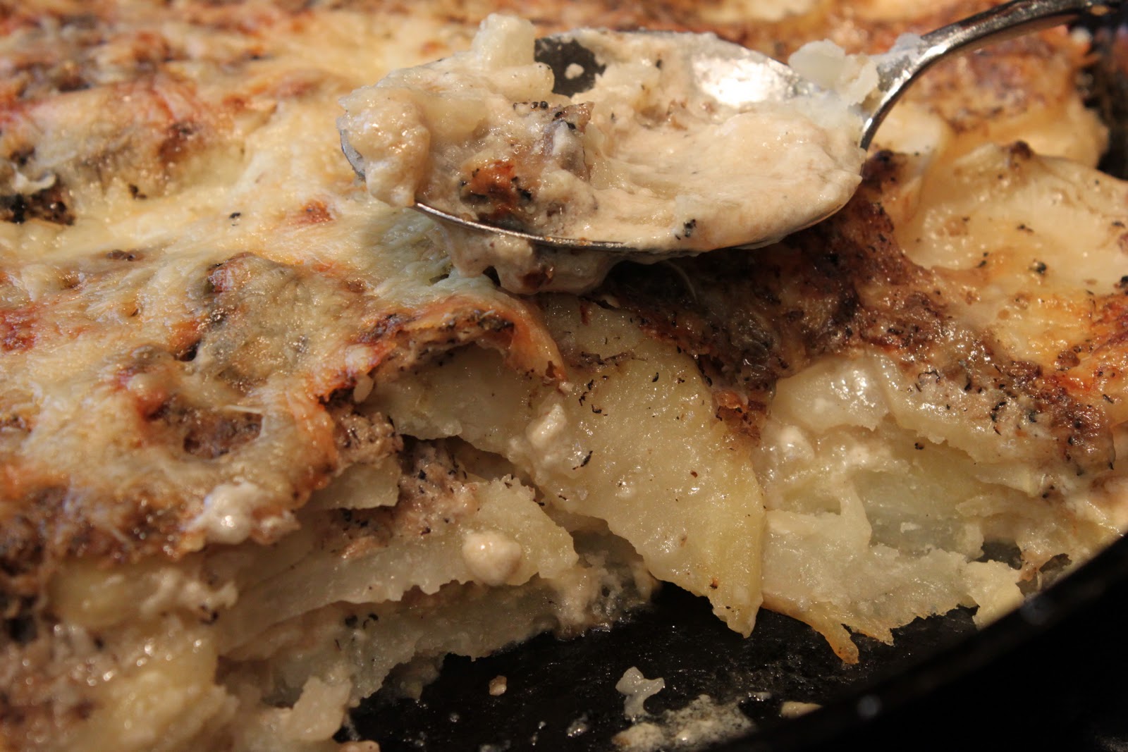 Truffled potato gratin