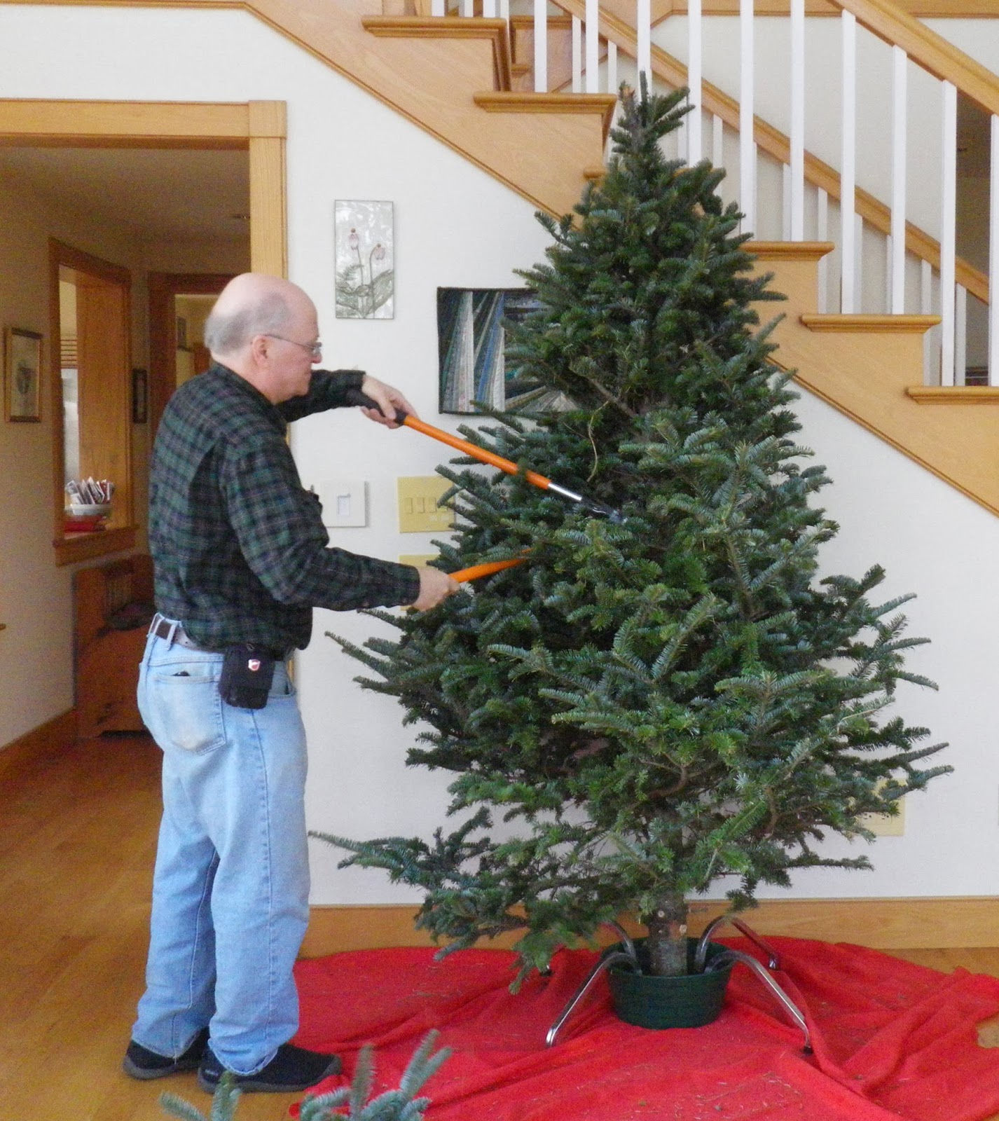 palblog: Deconstruction of the 2013 Christmas tree