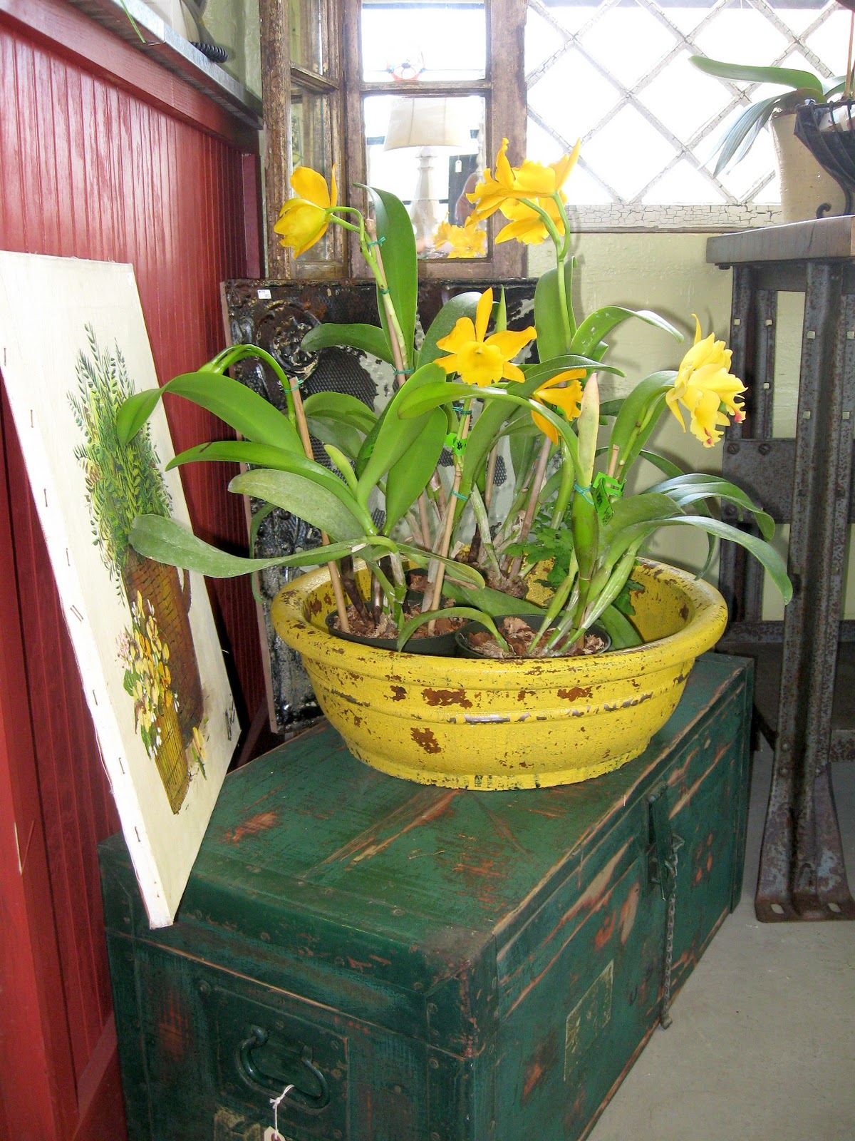 One Shabby Old House The Definition of a Relic is...