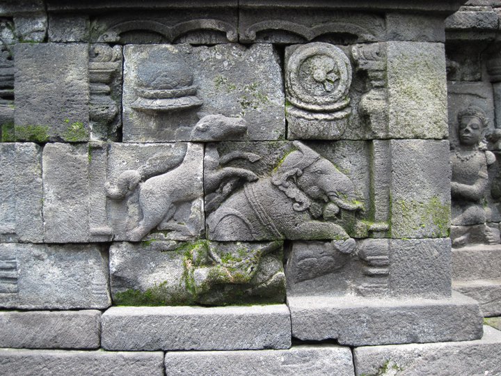 78+ Gambar Relief Binatang Pada Candi Borobudur Terlihat Keren 78+ Gambar Relief Binatang Pada Candi Borobudur Terlihat Keren