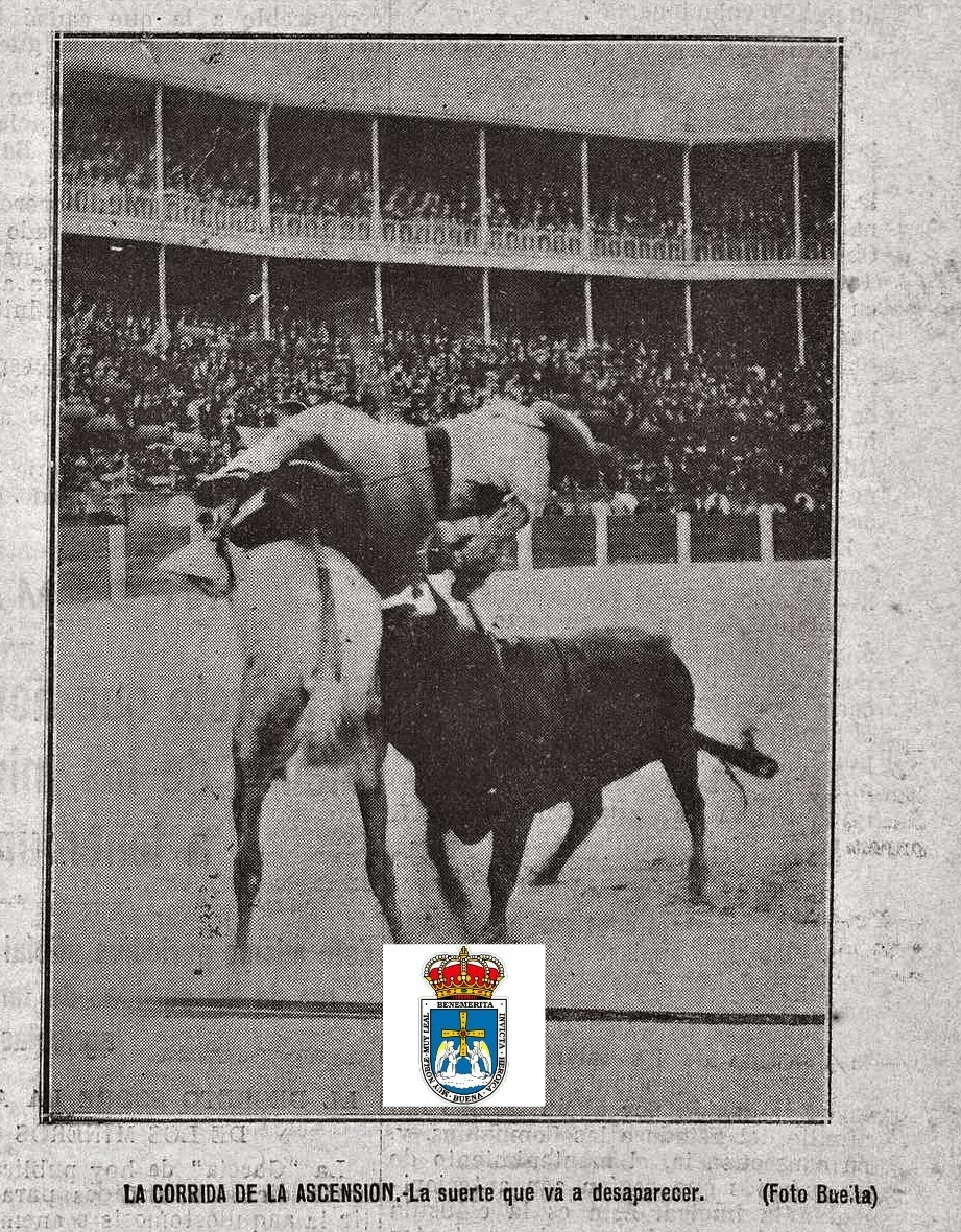 OVIEDO TOROS