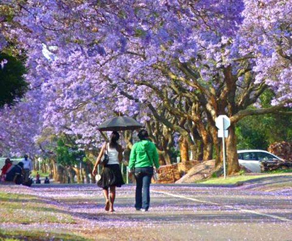 [Image: namphimuaphuongtim-5.jpg]