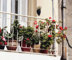 Small Balcony Gardens