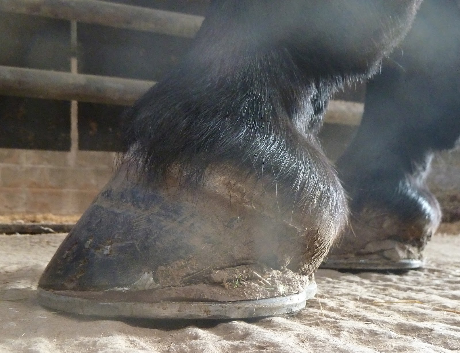 Rockley Farm Wedges are definitely "in" this year...