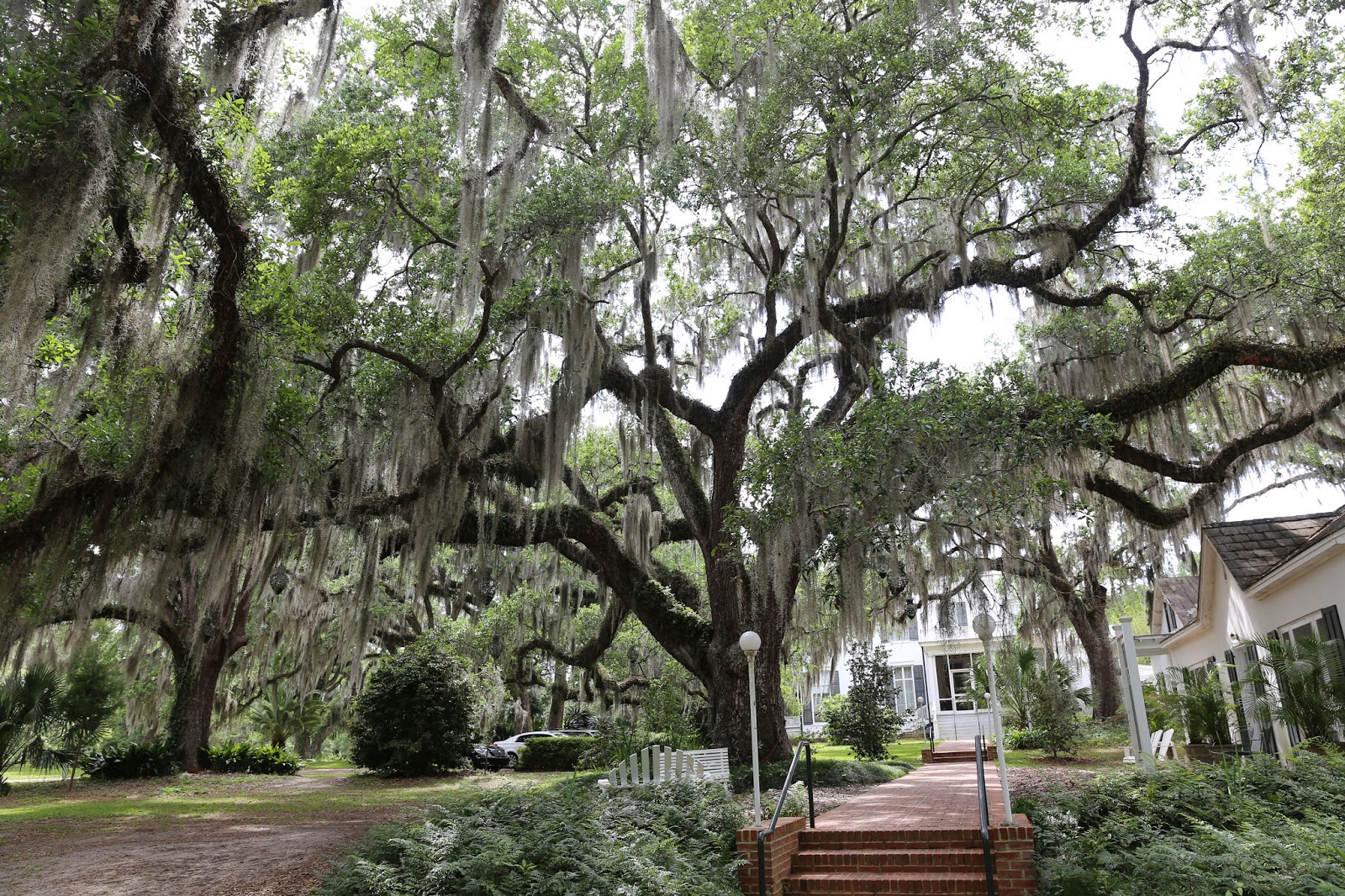 Sweet Southern Days Goodwood Museum & Gardens