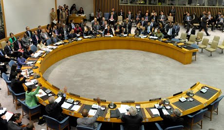 UNSC rejects Palestine's bid for membership