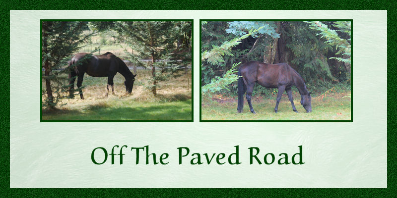 Off The Paved Road