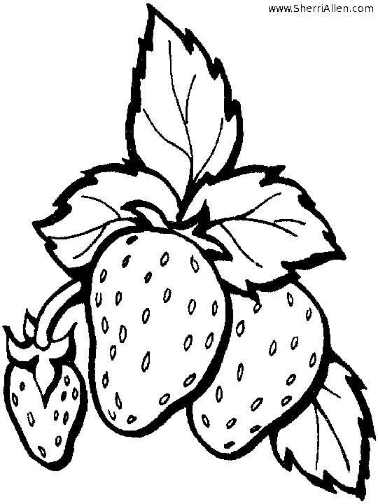 Featured image of post Free Printable Strawberry Coloring Pages No matter what she does strawberry shortcake still looks very cute