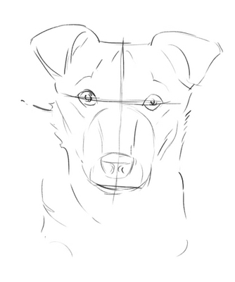 Come Disegnare Un Cane