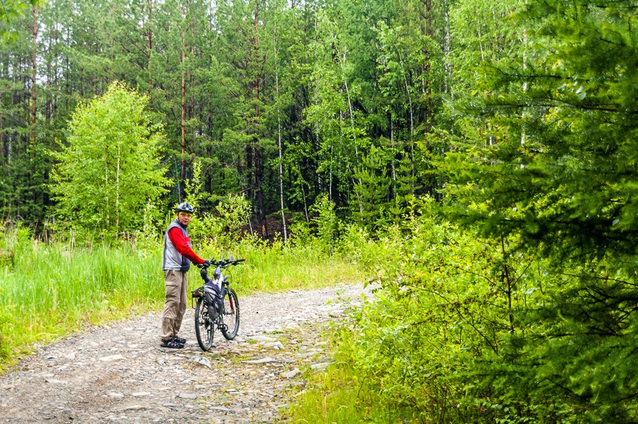 Туда, где намазано медом